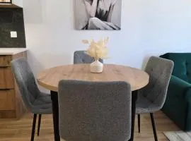 BoleslaviaApartments - Apartament Polna 1, parking free