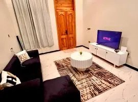 Cozy homes by Joyce Private Gated ,2 bedroom Home - 2mins walk to the Zanzibar Airport , 10 Mins to Stonetown
