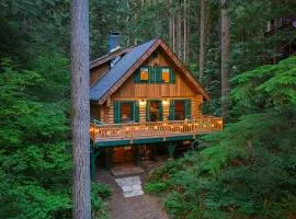 Mt Baker Forest Cabin with BBQ & Firepit Dogs Ok