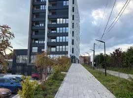 Tian Vista Apartment