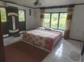 Ali's Homestay
