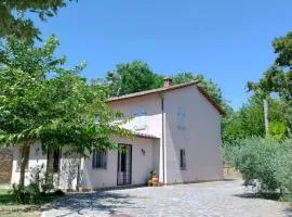 Villa Montepulciano Vineyard