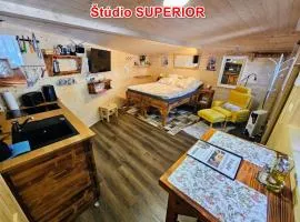 MK Apartment Karpaty