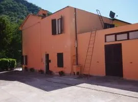 I due cipressi