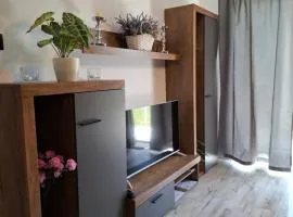 Kameralny Apartament