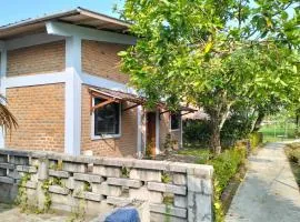 The Blue House