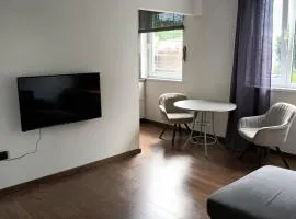 Cozy apartment in quiet neighbourhood downtown