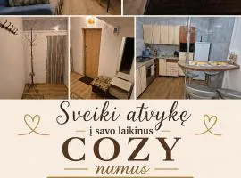 Cozy Žemaitės gatvė