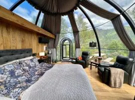 Lofoten Aurora Dome