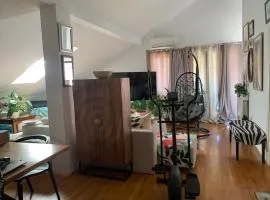 Apartment Danka