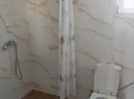 Latina lastva