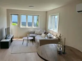 Central 3-Bedroom Apartment Free Parking & Wifi