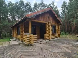 Log House Savin