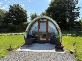 Kingsford Pod