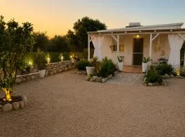Marilena's Houses