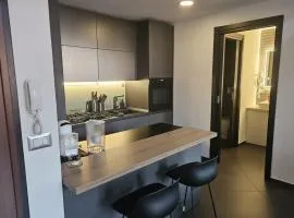 Irusu