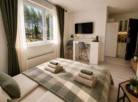 Apartmani Krčmarica 9