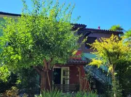 Casa Kirti