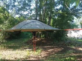 Tree Tent Bratislava