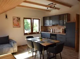 Apartament pod Orzechem IV