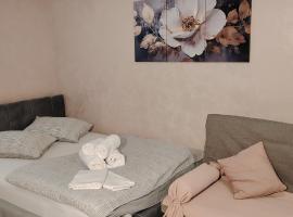 Mini wellness studio-near the airport, готель у місті Smlednik