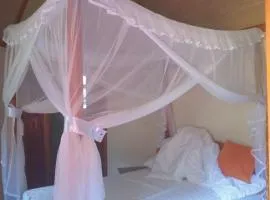 Nature escape safari lodge