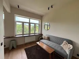 Bright Apartment Overlooking Tenbosch Park