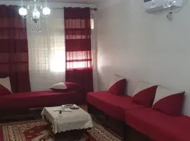 Spacious F3 apartment