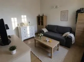 T2 meublé, terrasse et plage à deux pas
