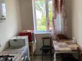 Gariks house