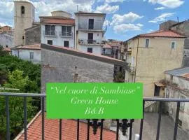 B&B Green House