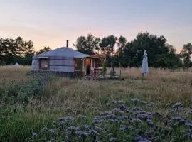 Strackxhoeve Yurt 'Haardpeer'