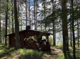 Mummonmökki Puruvedellä Kylän Kupeessa