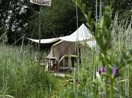 Eco glamping tent 'Basilikus'
