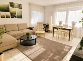 Mosel Apartment III - MIS
