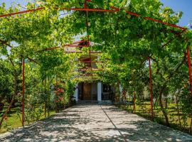 guest hause "villa", Hotel in Dushetʼi
