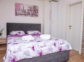 Apartman Živković