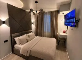 Modern Luxury Apartment