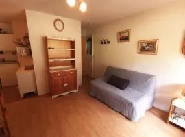 2 pièces aux Adrets, au pied des pistes, animaux admis - FR-1-771-36