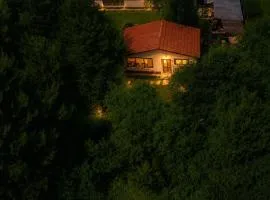 Forest Hide Tiny House