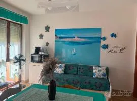Baja SMERALDA