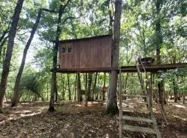 1 Bedroom Pet Friendly Home In Mazeyrolles
