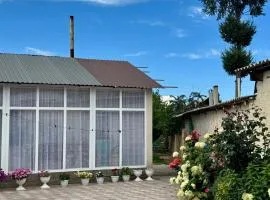 Ilgiz Guest House