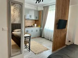 Sofia Residence Studio Cetate