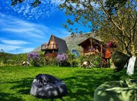 Life on the farm