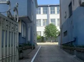 Vila Ali Demi