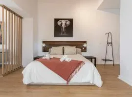 Lofts Calle Sol