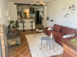 Maison au cœur des vignes, proche Saint-Émilion