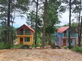 Rimaaia homestay mawlai bypass Shillong