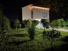 Villa 6C Sunny Nest
